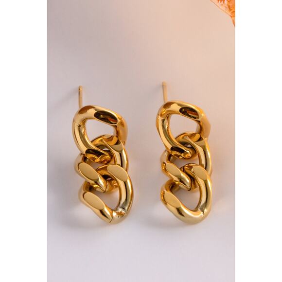 Stainless Steel Chain Earrings - Picture 2 of 5